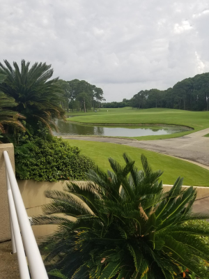 image-20240412113149-1